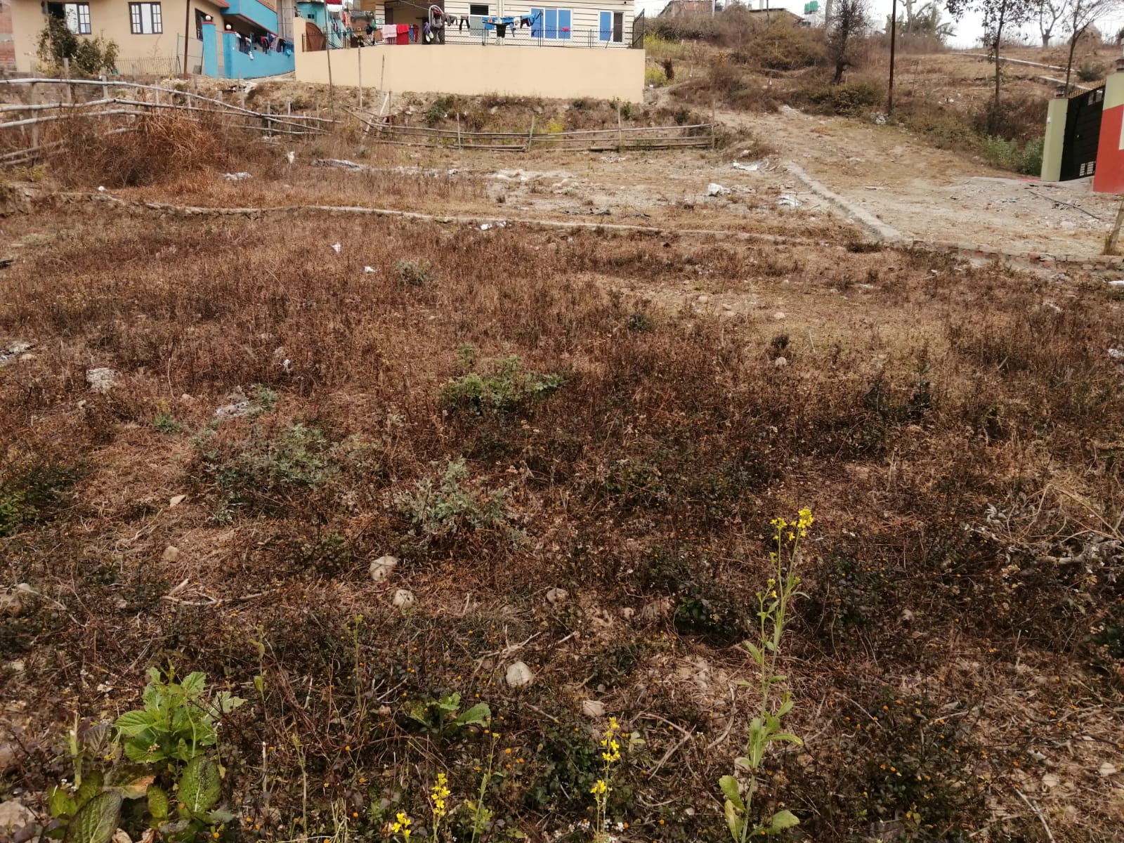 Picture of Mahalaxmi Municipality, Bagmati